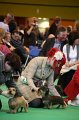 Crufts2010 803